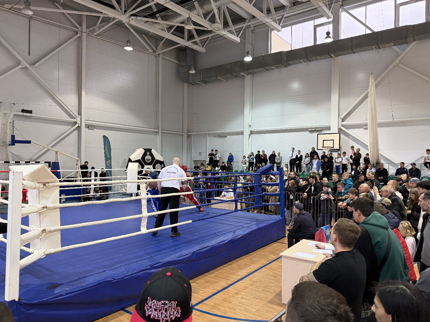 клин, общество, спорт, подмосковье, кикбоксинг, каратэ,  ММА,