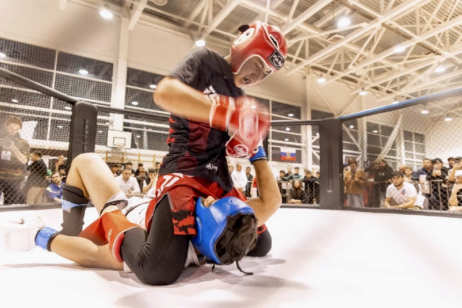 клин, общество, спорт, подмосковье, кикбоксинг, каратэ,  ММА,