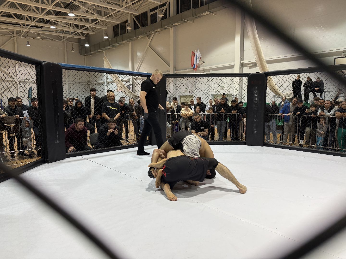 клин, общество, спорт, подмосковье, кикбоксинг, каратэ,  ММА,