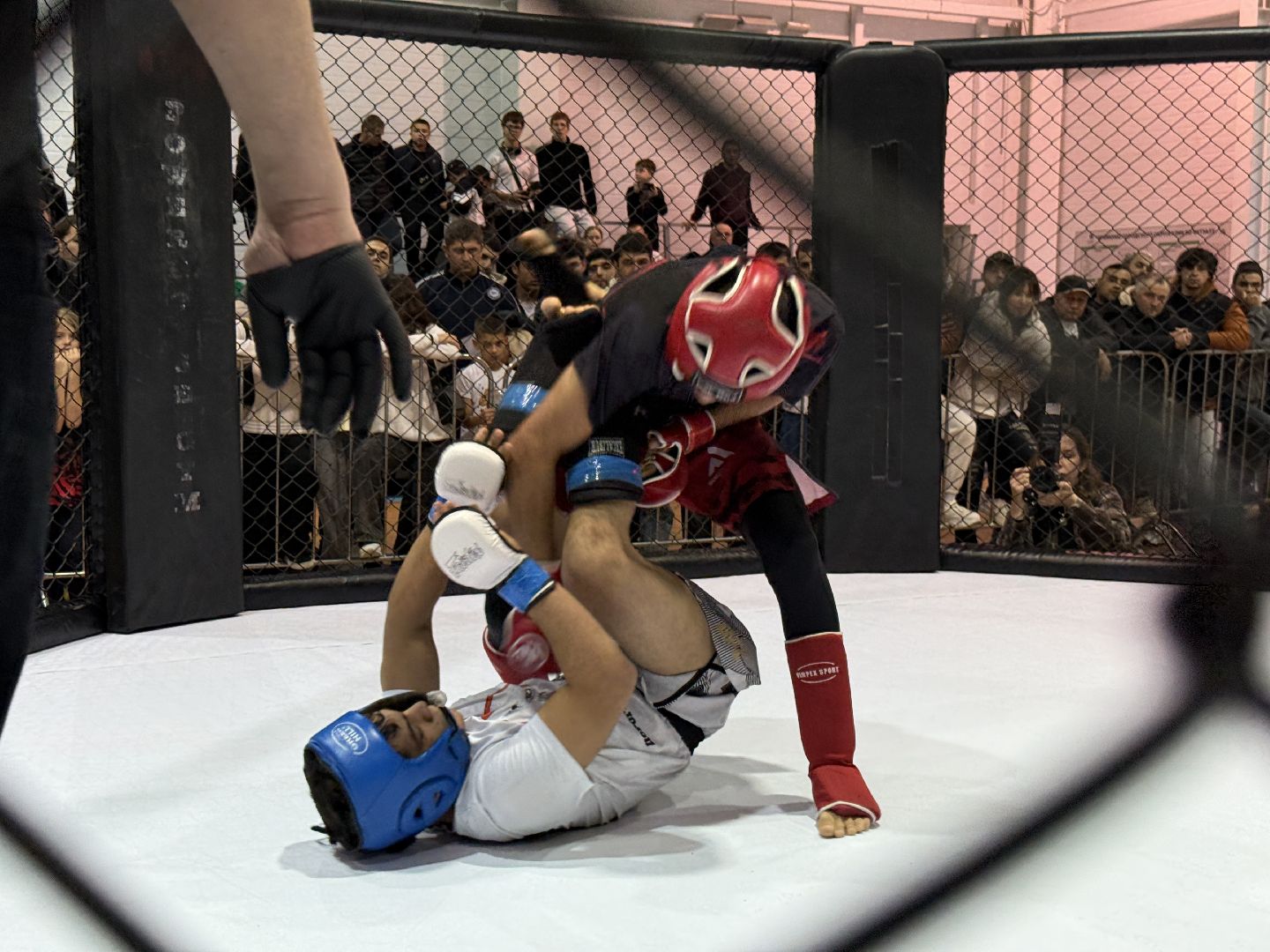 клин, общество, спорт, подмосковье, кикбоксинг, каратэ,  ММА,