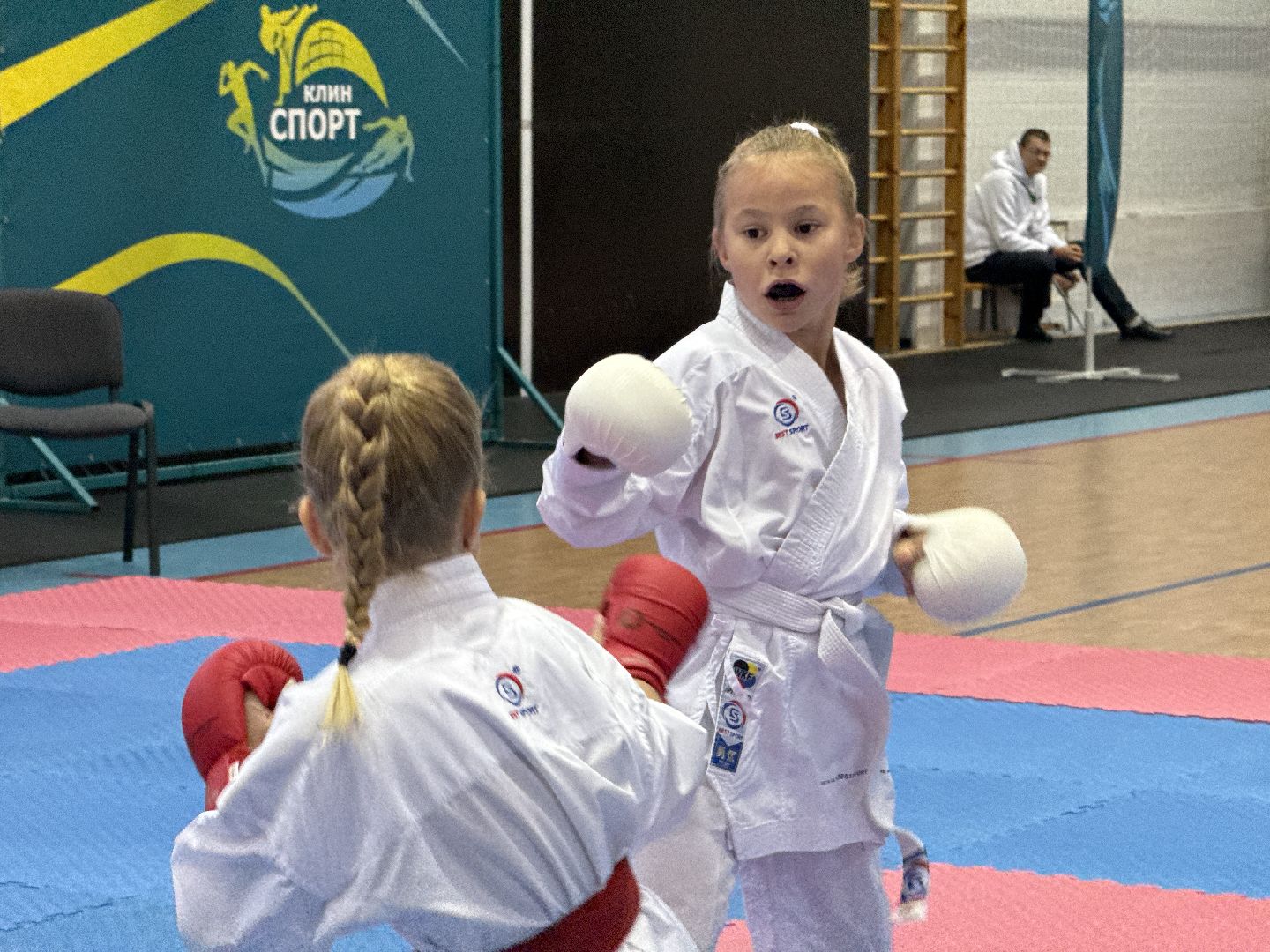клин, общество, спорт, подмосковье, кикбоксинг, каратэ,  ММА,