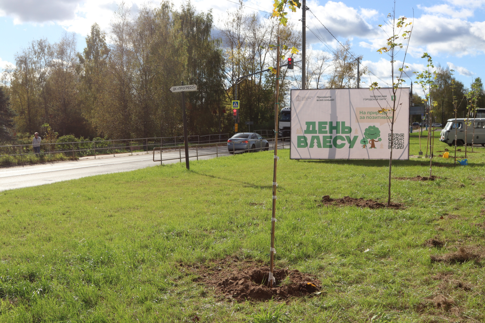 талдомский округ, талдомский городской округ, день в лесу сохраним лес вместе, День в лесу,