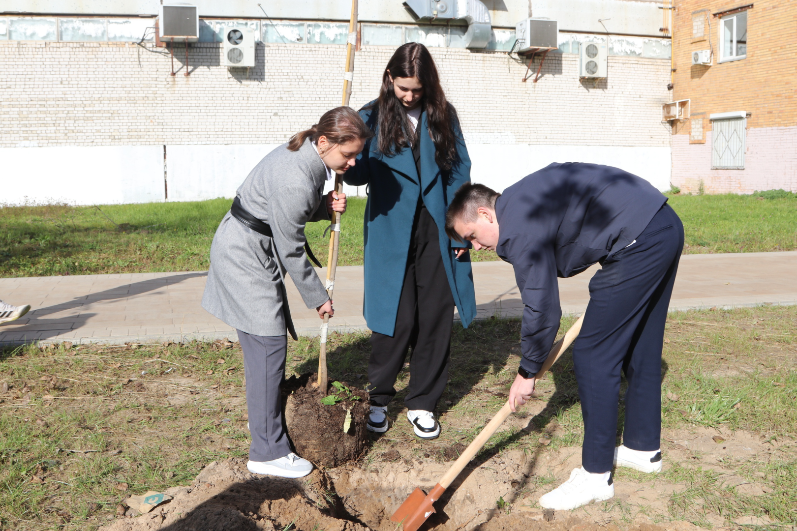 талдомский округ, талдомский городской округ, день в лесу сохраним лес вместе, День в лесу,