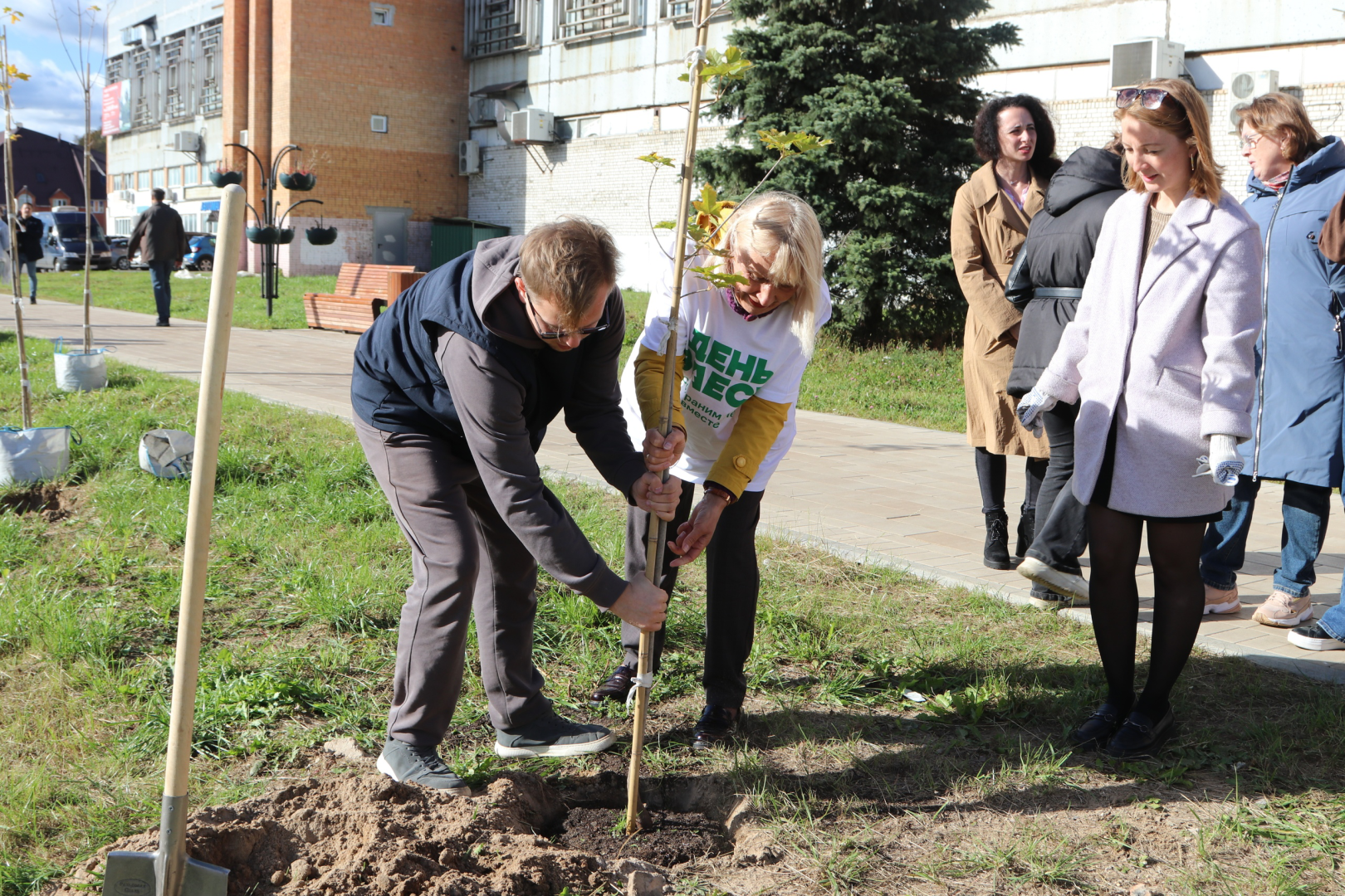 талдомский округ, талдомский городской округ, день в лесу сохраним лес вместе, День в лесу,