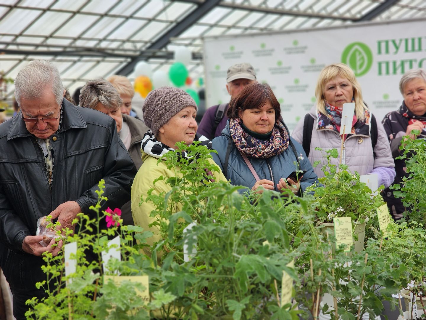 пушкино, пушкинский питомник декоративных растений , пушкинскому питомнику 86, зеленое подмосковье,
