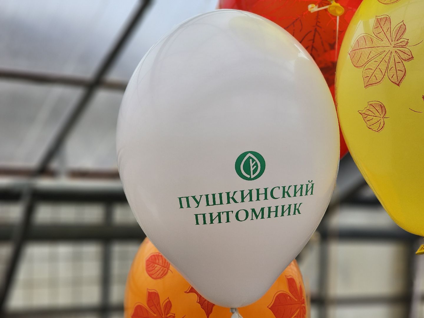 пушкино, пушкинский питомник декоративных растений , пушкинскому питомнику 86, зеленое подмосковье,