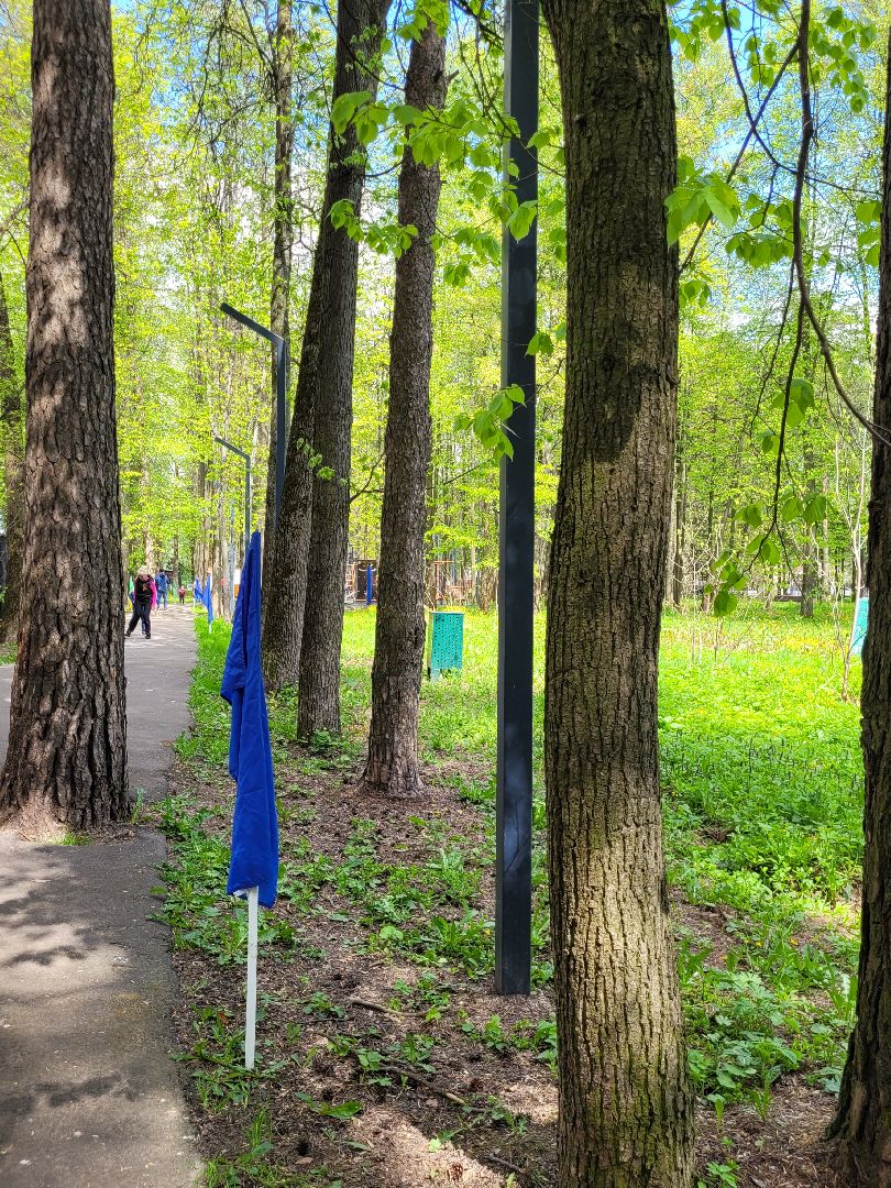 дети; день победы; эстафета; парки подмосковья; спорт