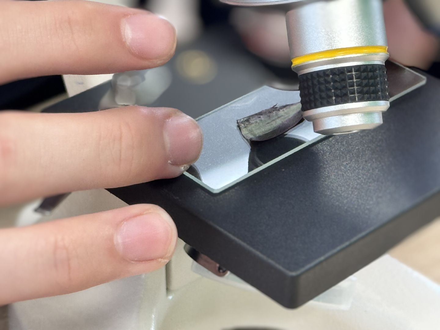 шаховская, образование, точка роста,