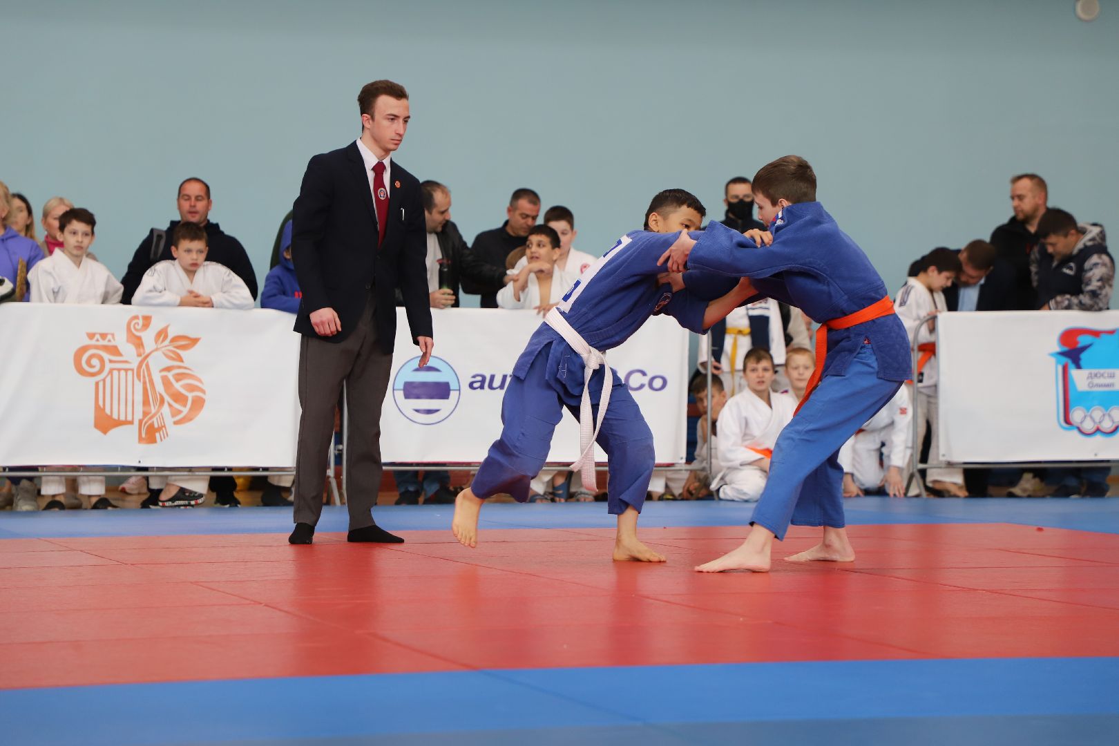 Дзюдо, Александр Михайлин, Домодедово