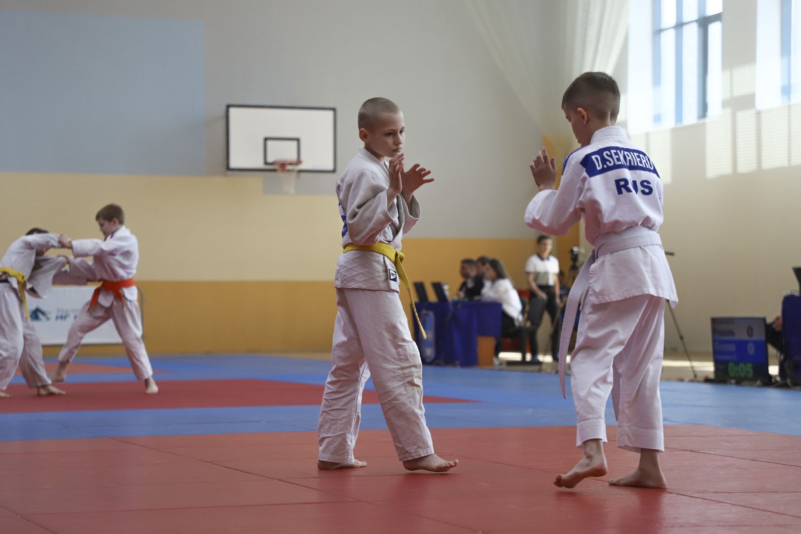 Дзюдо, Александр Михайлин, Домодедово