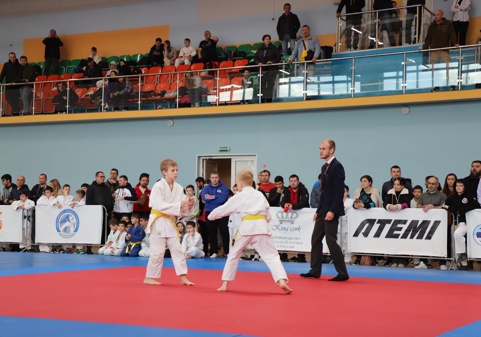 Дзюдо, Александр Михайлин, Домодедово