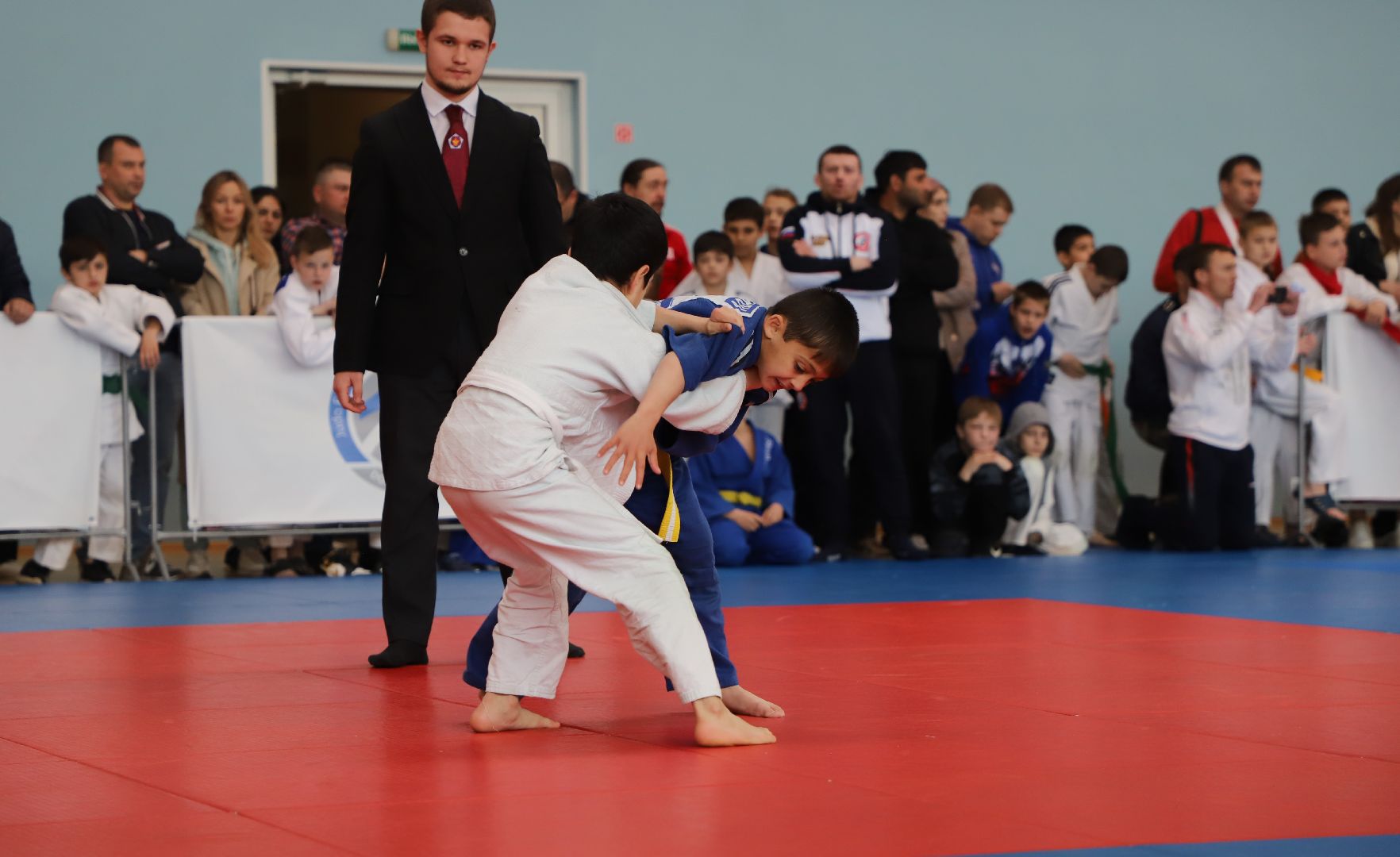 Дзюдо, Александр Михайлин, Домодедово