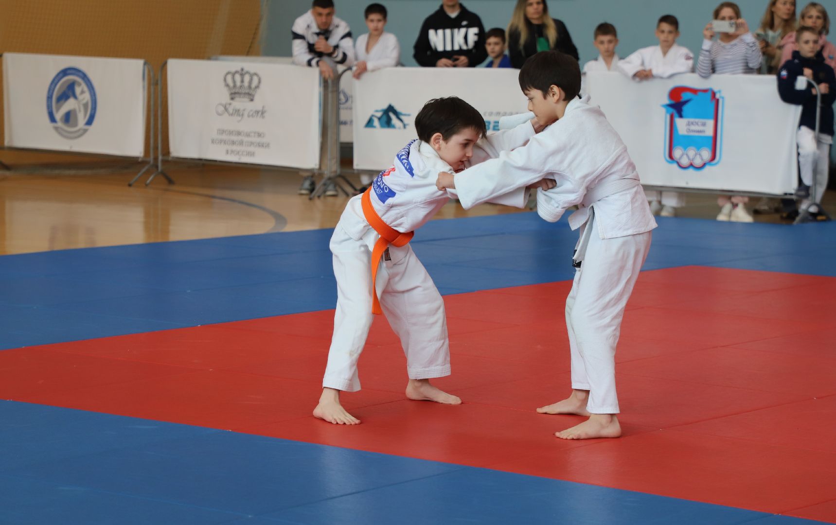 Дзюдо, Александр Михайлин, Домодедово