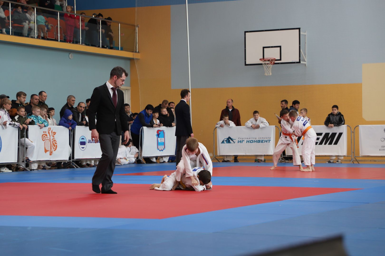 Дзюдо, Александр Михайлин, Домодедово