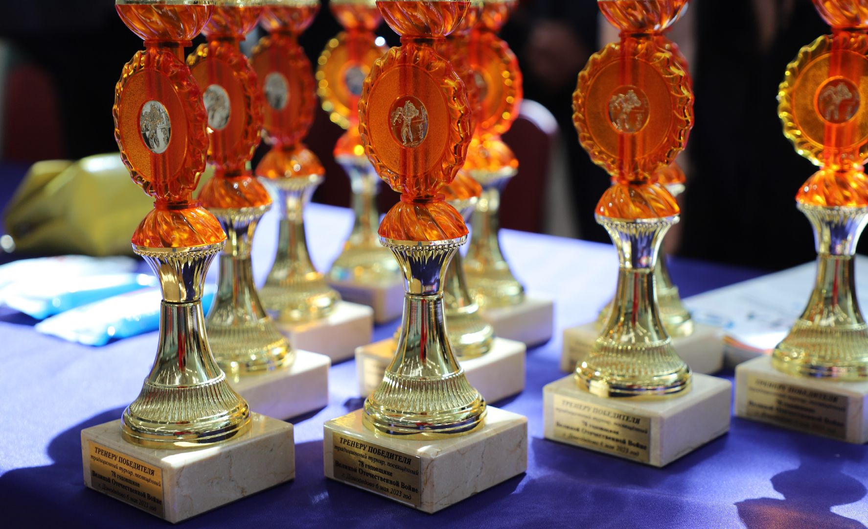 Дзюдо, Александр Михайлин, Домодедово