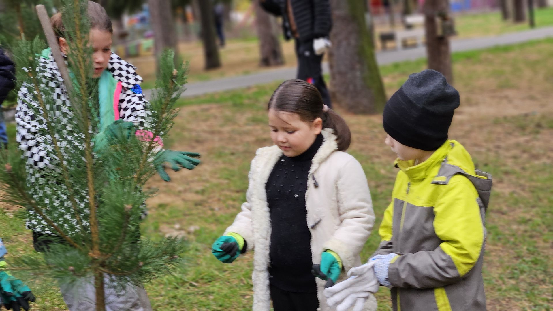 эко акция, деревья, жуковский,