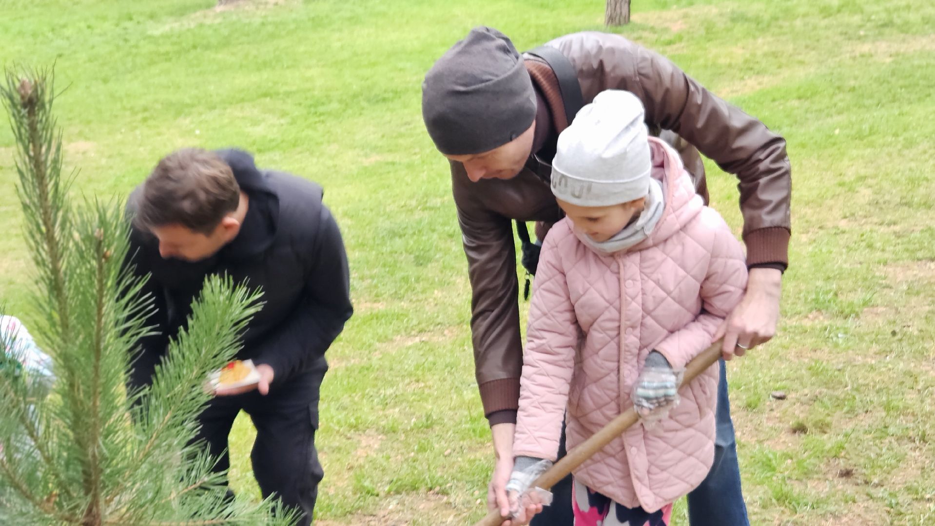 эко акция, деревья, жуковский,