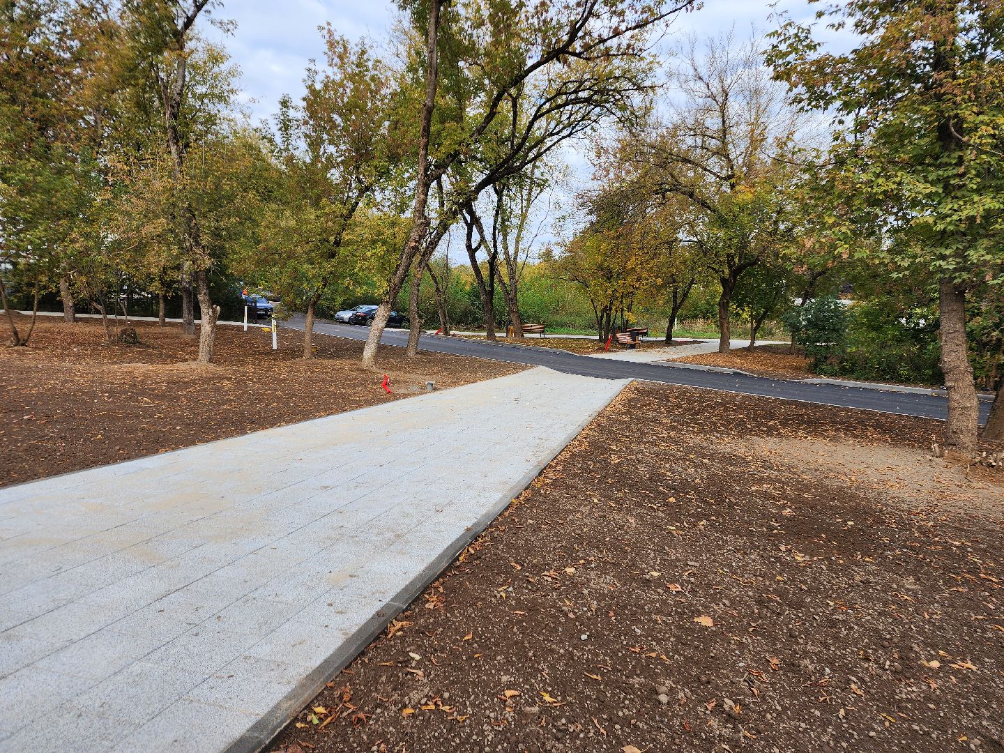 фрязино, благоустройство сквера, общественная территория, пешеходные дорожки,