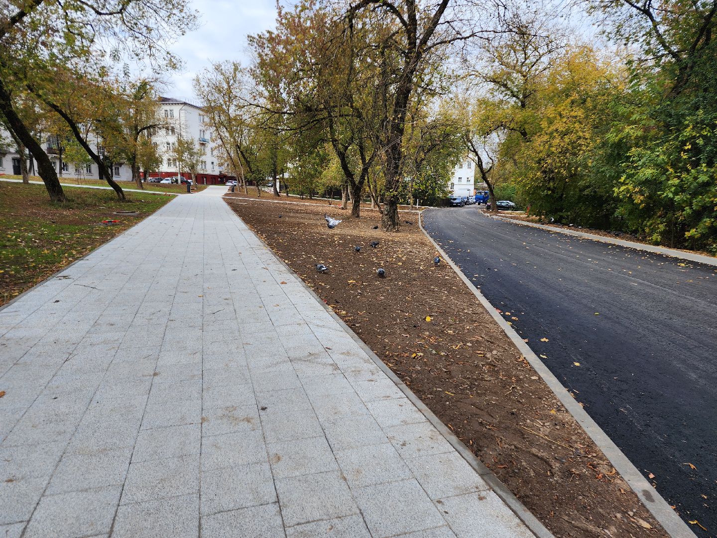 фрязино, благоустройство сквера, общественная территория, пешеходные дорожки,