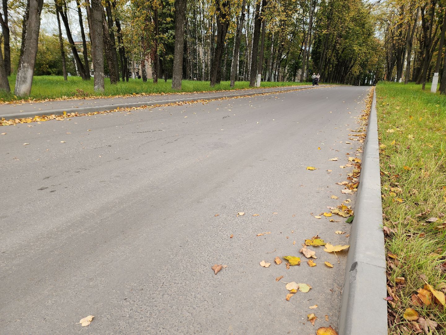 солнечногорск, благоустройство , выстрел , дороги, жители ,