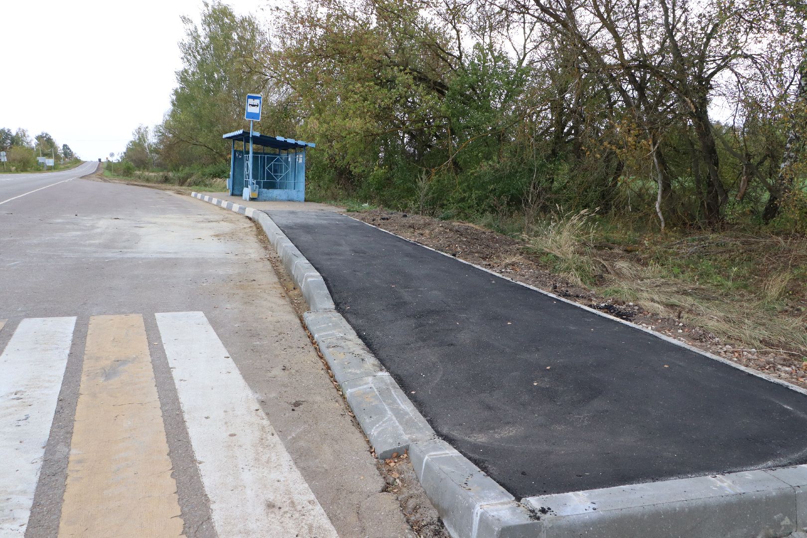 серебряные пруды, бдд, коровино, новый тротуар,