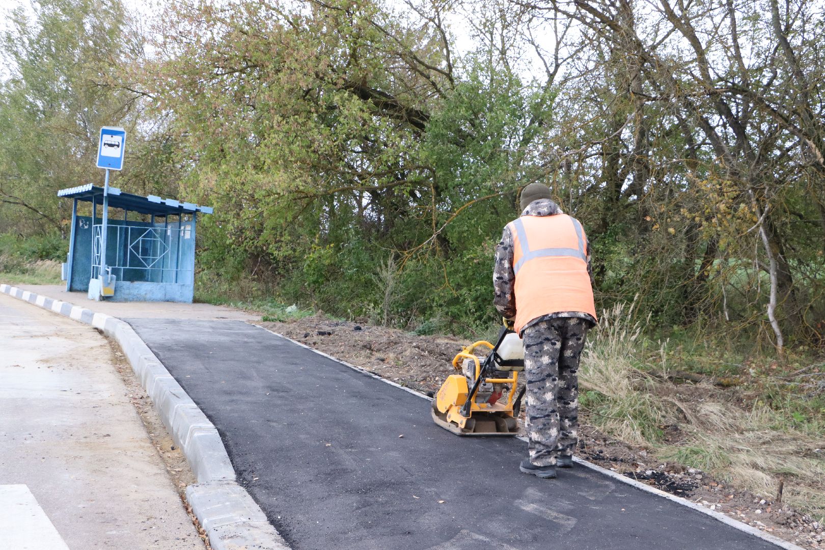 серебряные пруды, бдд, коровино, новый тротуар,