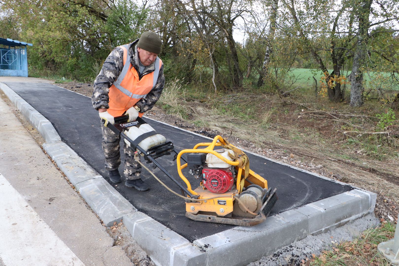 серебряные пруды, бдд, коровино, новый тротуар,