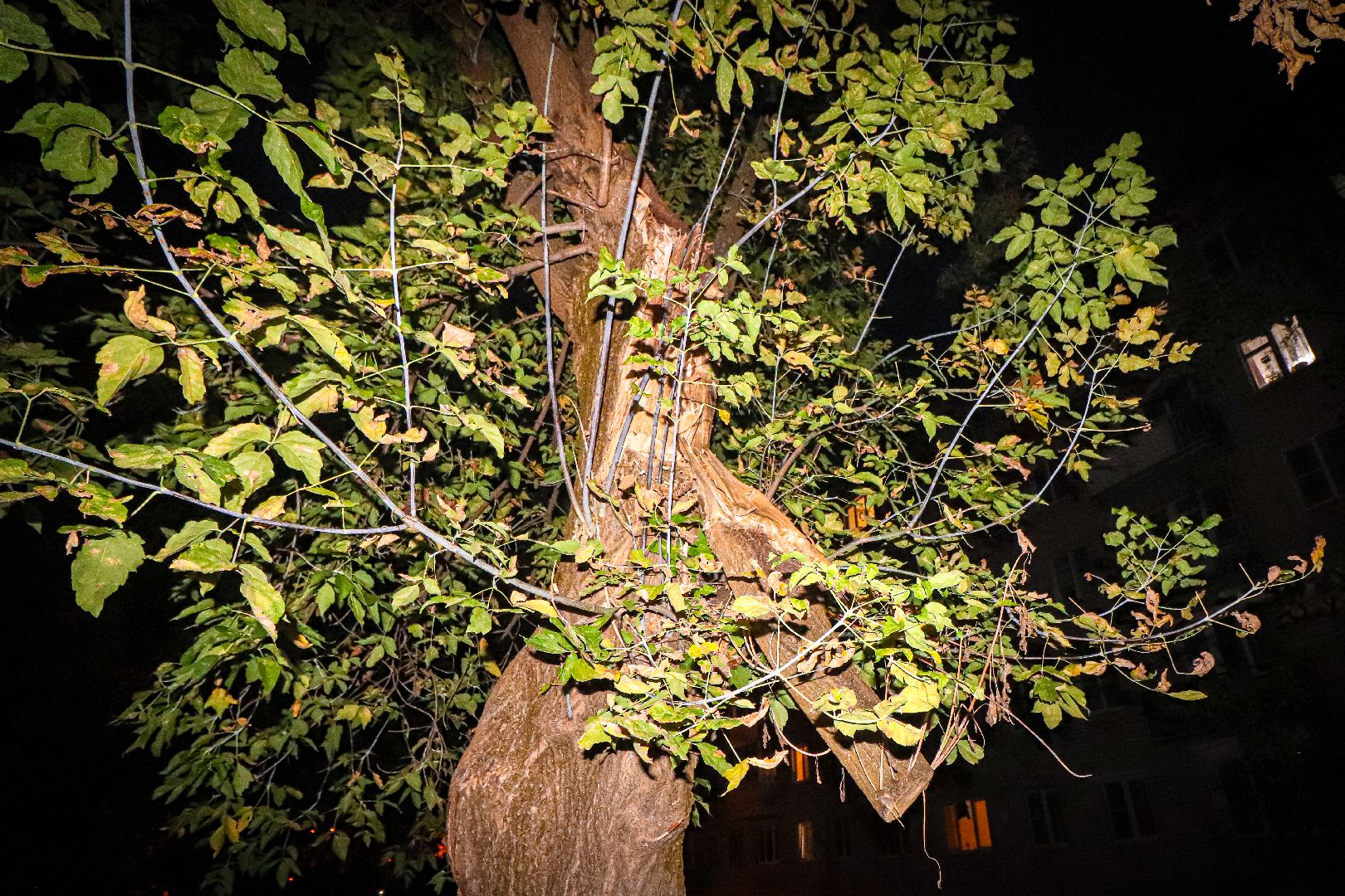 клин, общество, благоустройство, жкх, выездная администрация,