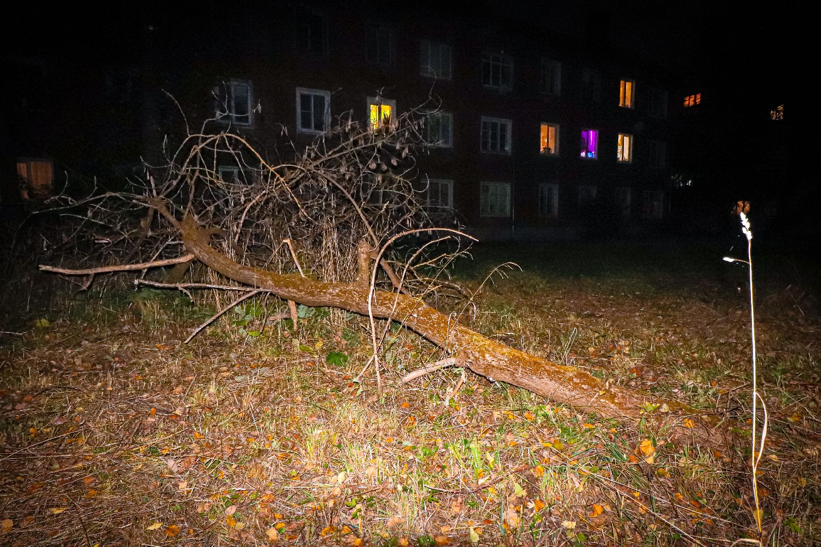 клин, общество, благоустройство, жкх, выездная администрация,