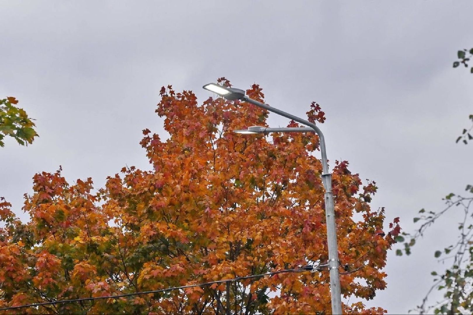 благоустройство территории, власиха благоустройство, цветной бульвар власиха, новая общественная территория, благоустройство 2025,
