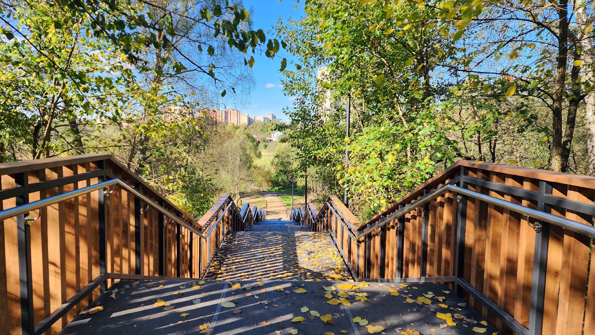 истра, благоустройство, лесопарк,