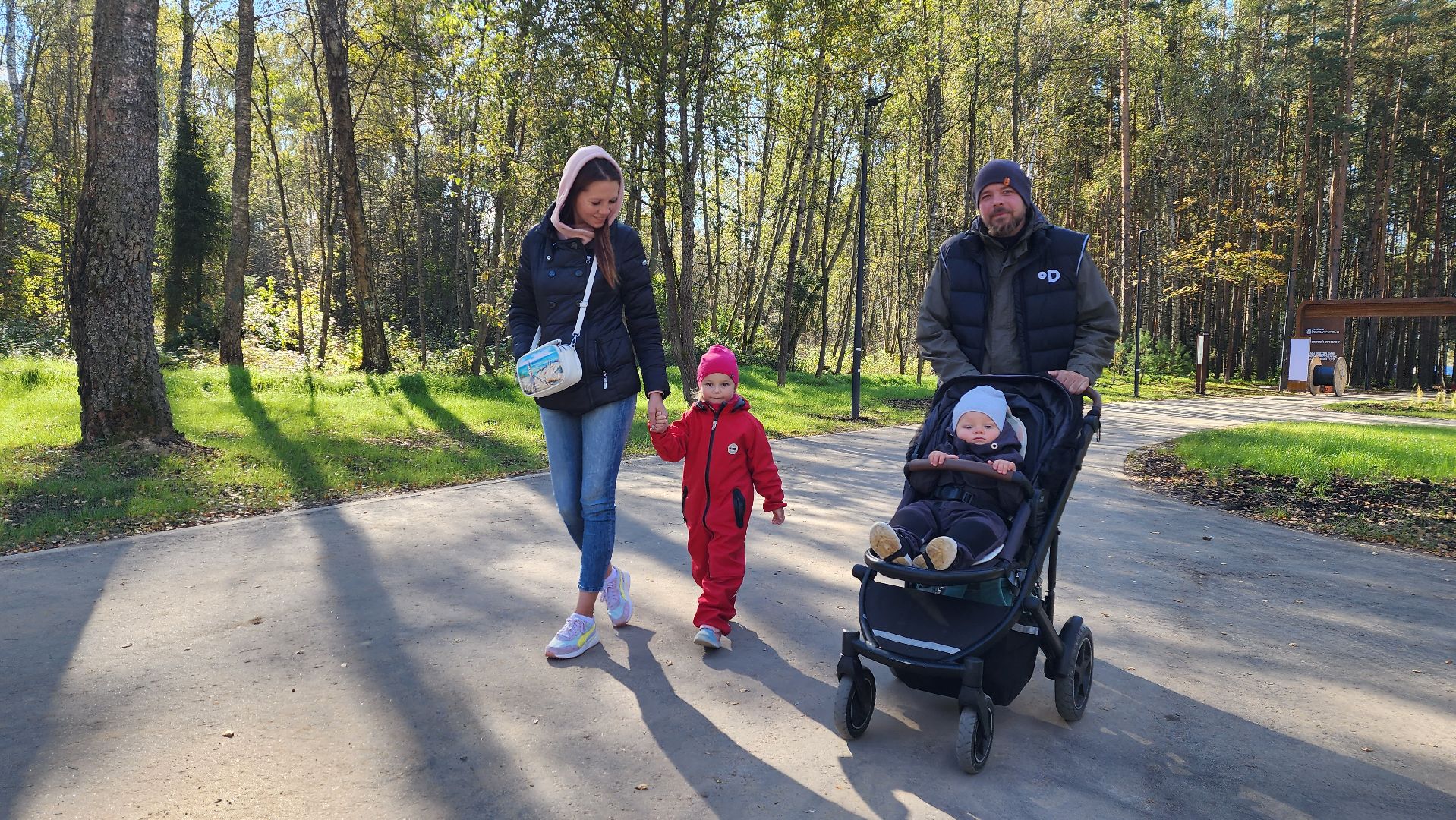 истра, благоустройство, лесопарк,