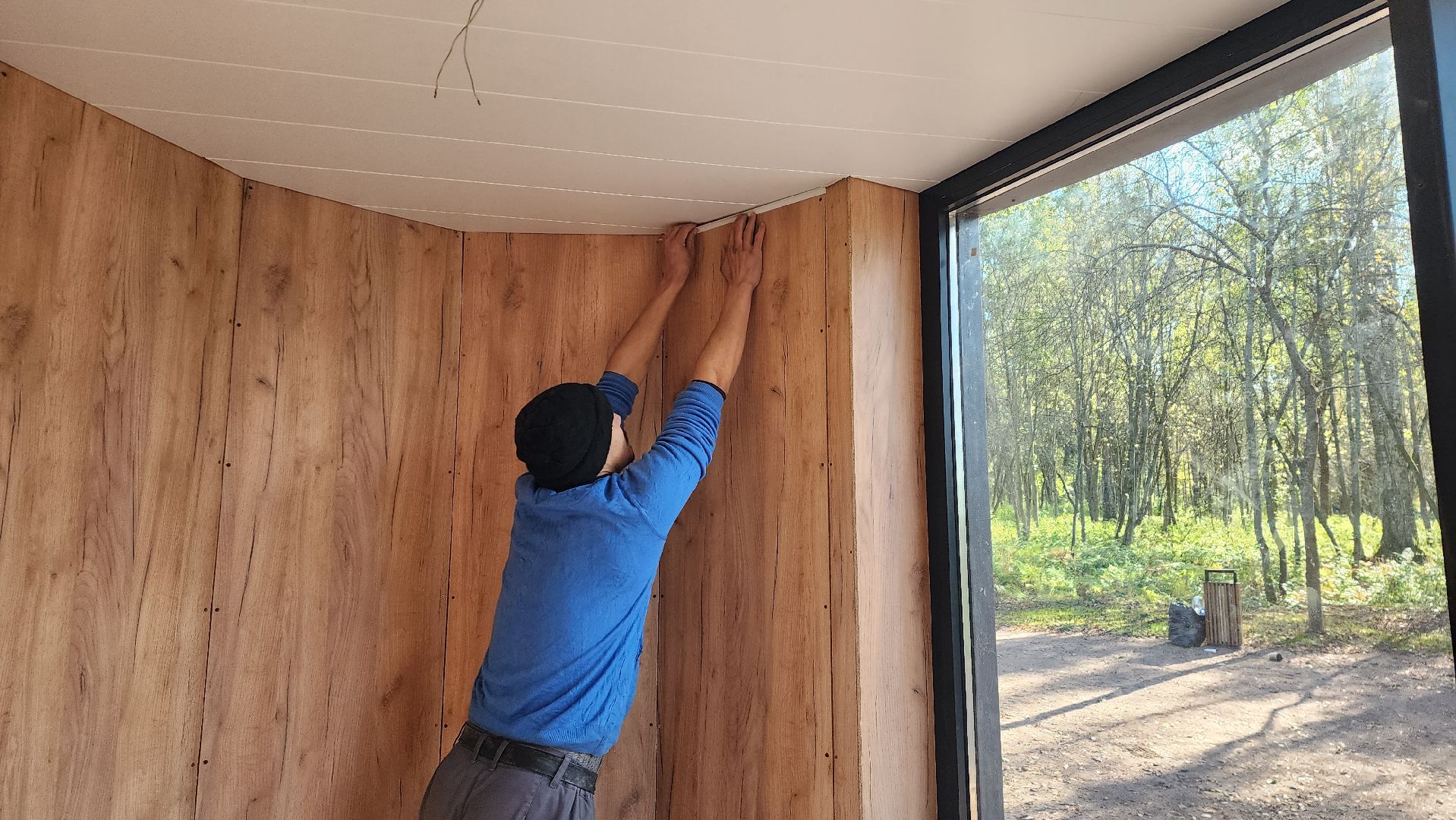 истра, благоустройство, лесопарк,