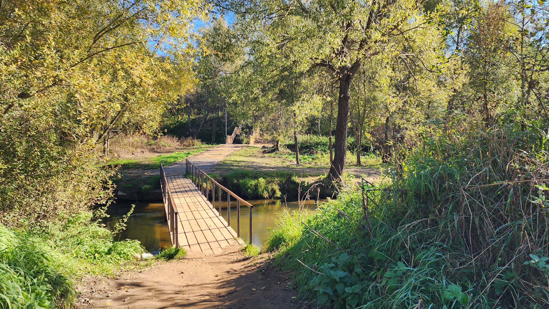 истра, благоустройство, лесопарк,