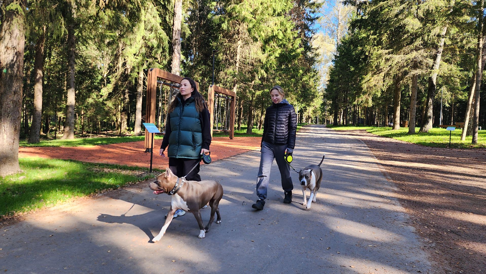 истра, благоустройство, лесопарк,