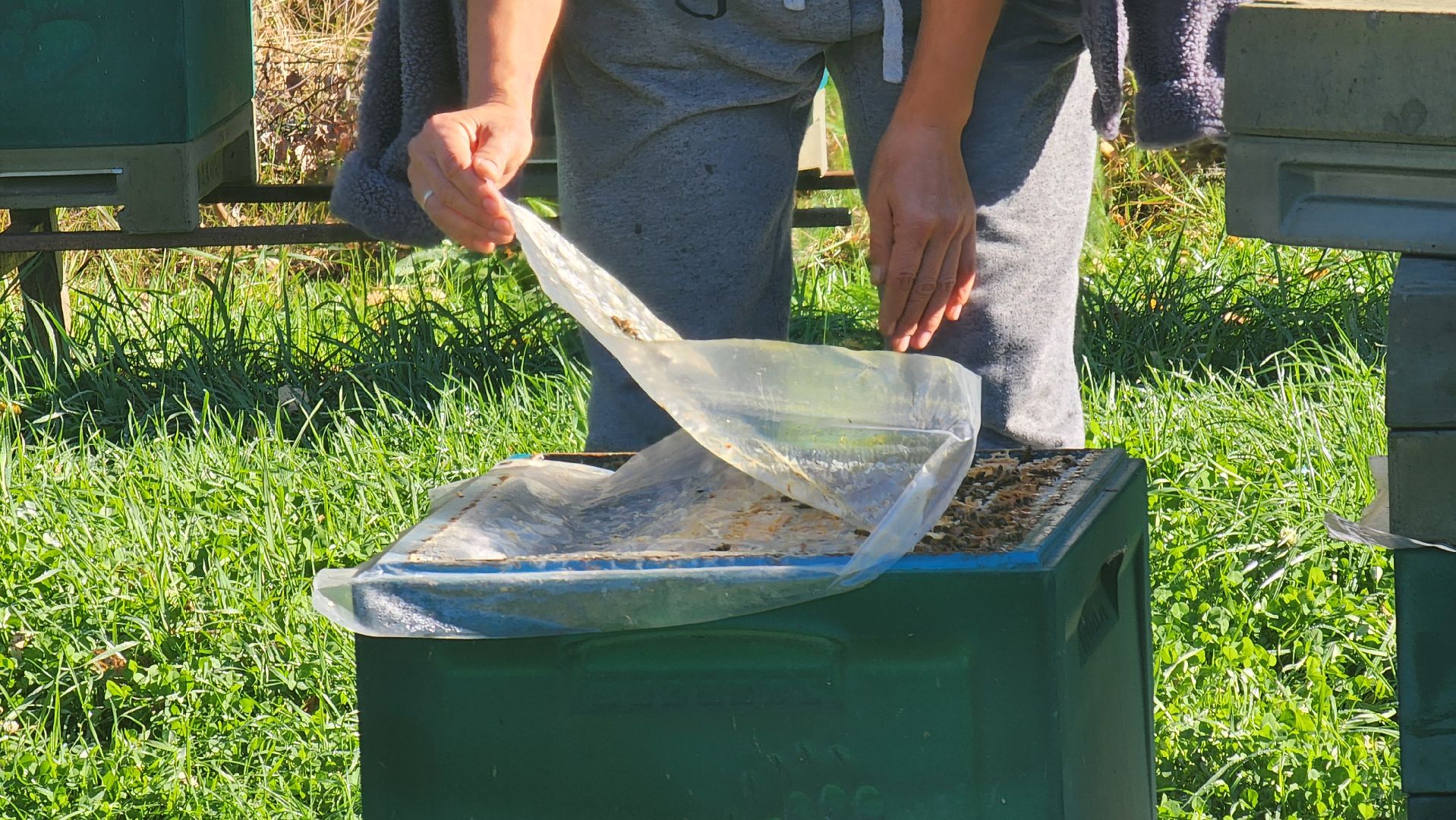клин, пасека, пчеловод, агролидер, туризм, национальная премия ,