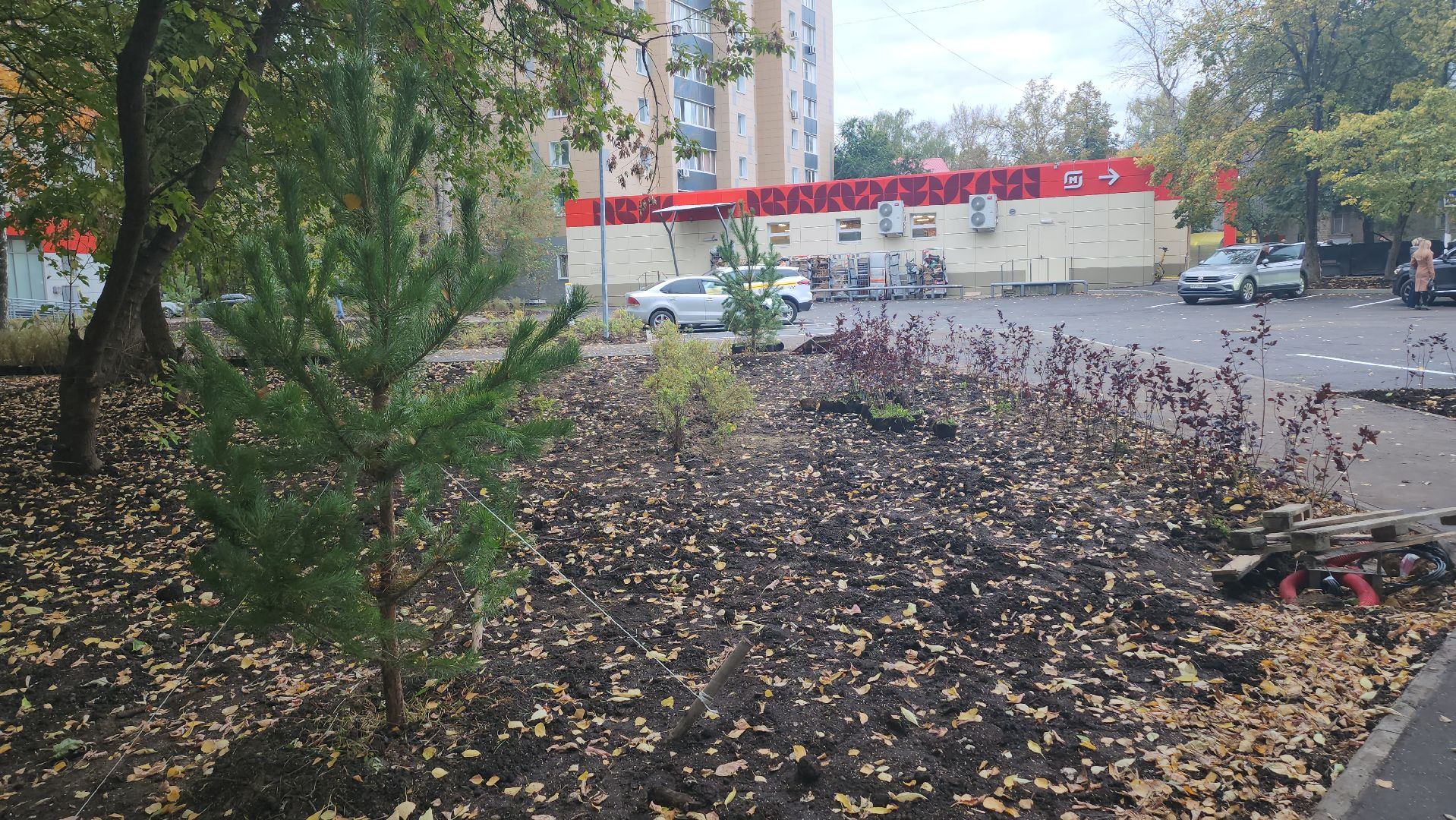 люберцы, новый сквер, глава люберец владимир волков, жители,