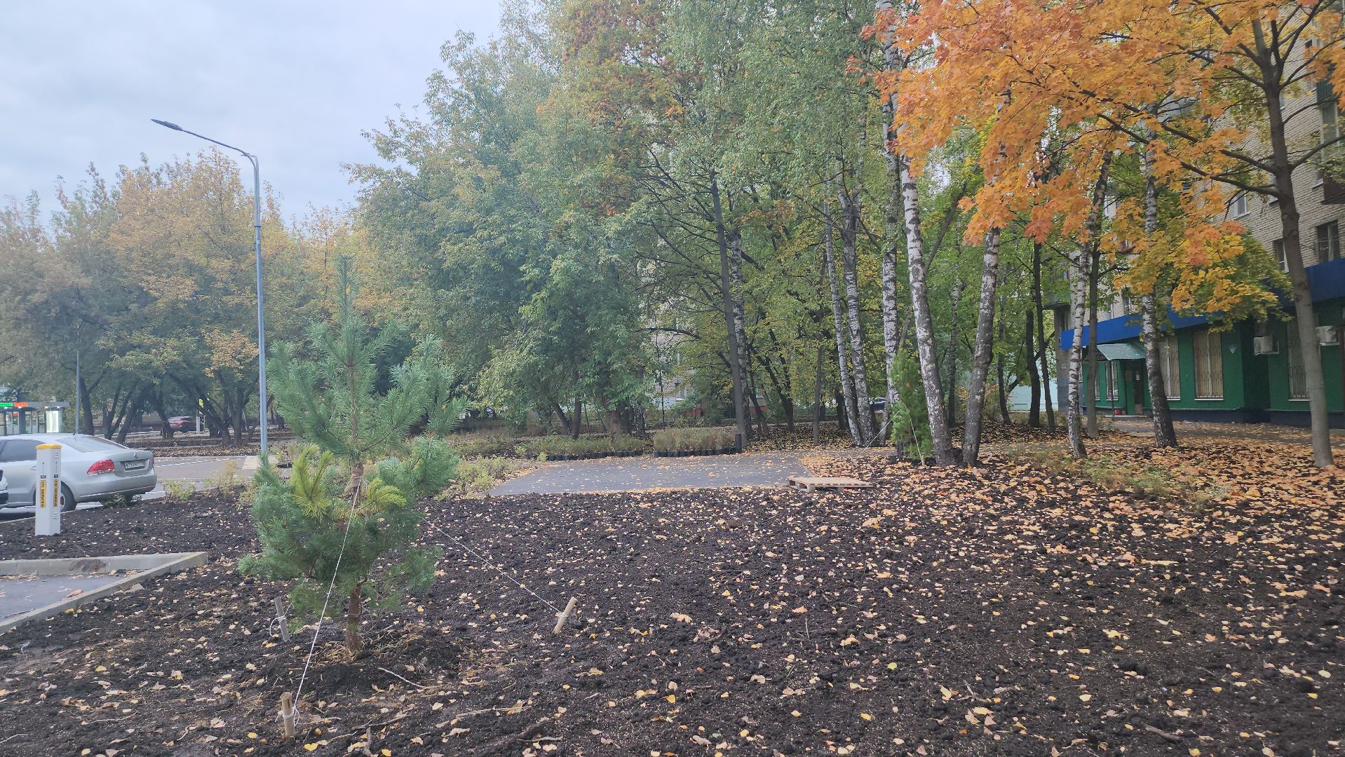 люберцы, новый сквер, глава люберец владимир волков, жители,