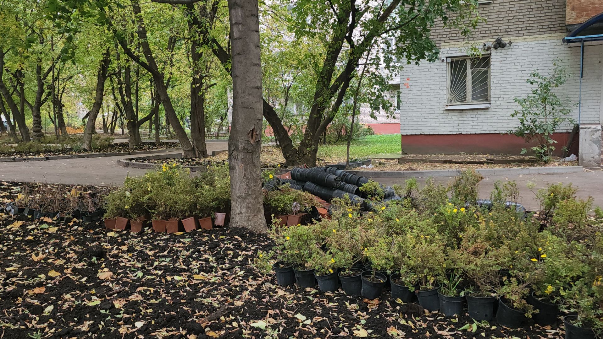 люберцы, новый сквер, глава люберец владимир волков, жители,