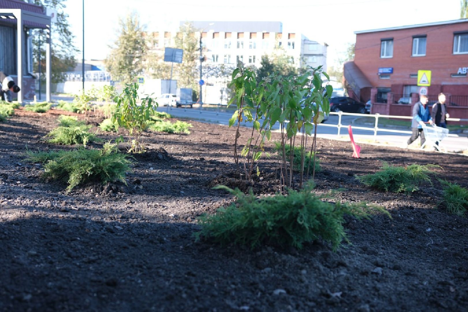 лыткарино, скверы подмосковья, формирование комфортной городской среды, благоуствойство,