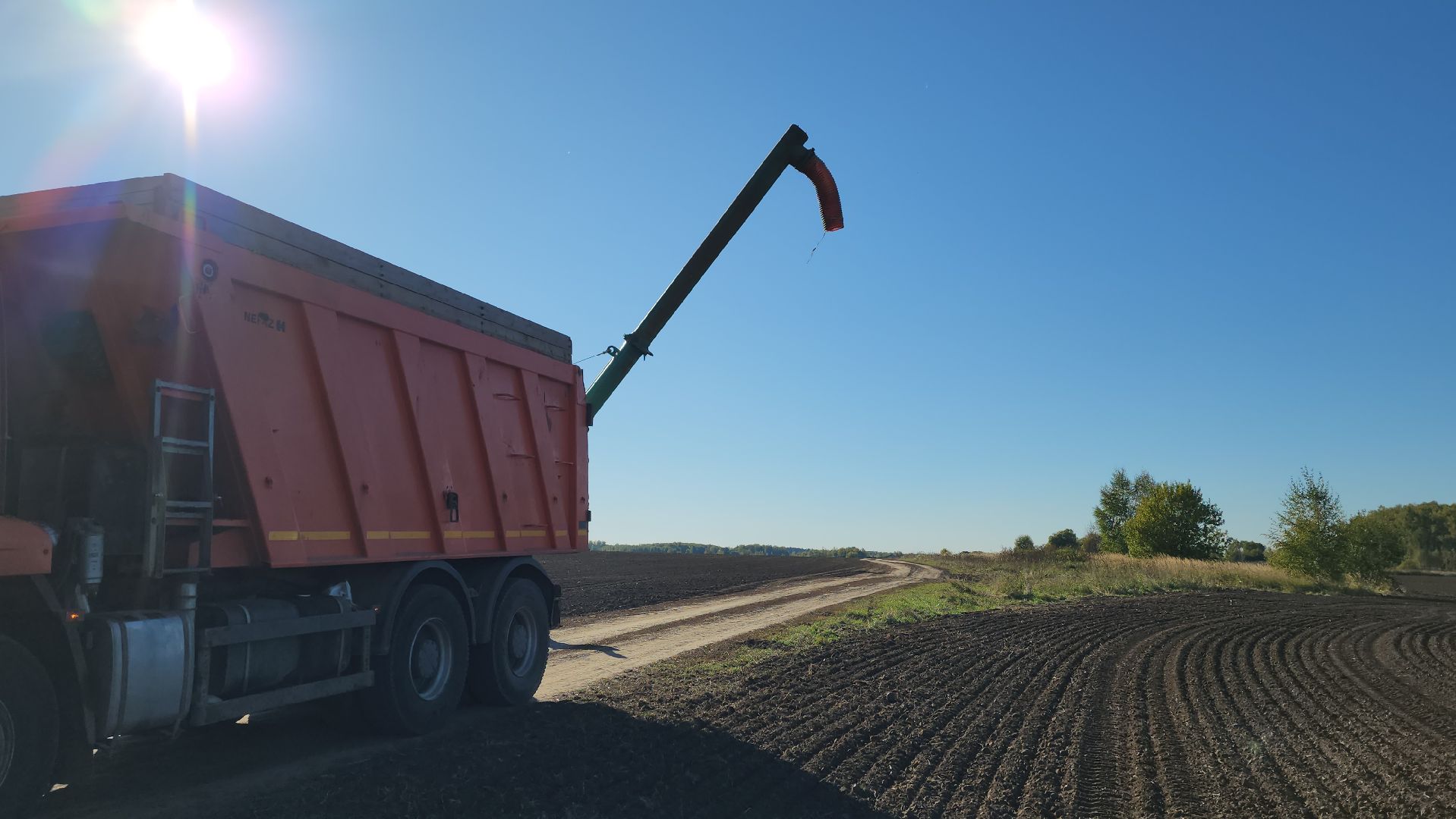туламашагро, луховицы, сев озимых, сельское хозяйство,