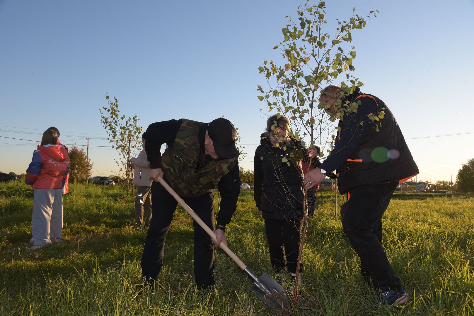 лотошино, кировский, сво, высадка деревьев,