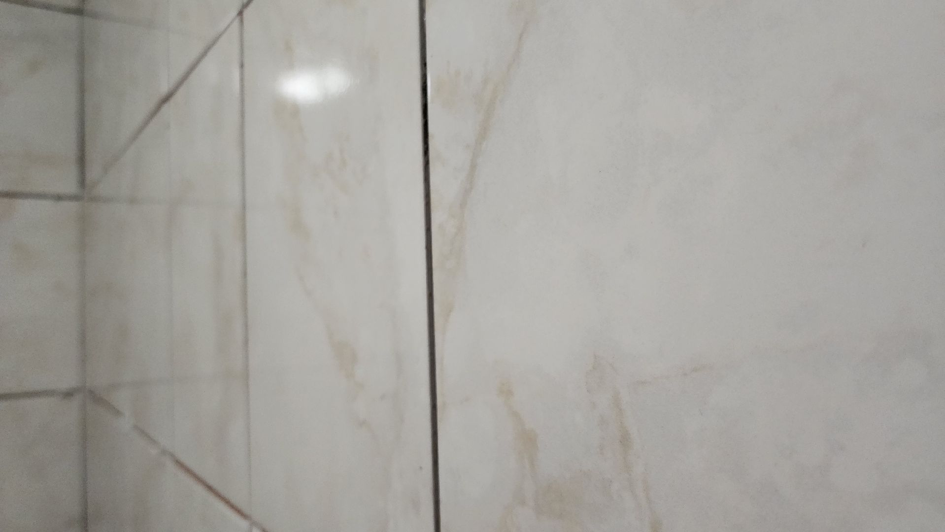 руза, строительство, поречье , библиотека,