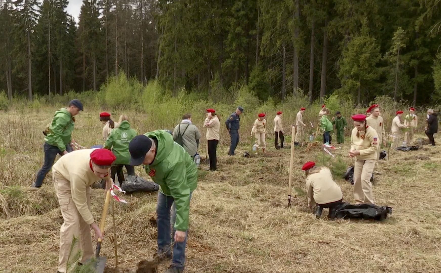 Клин, благоустройство, перемены, лес победы