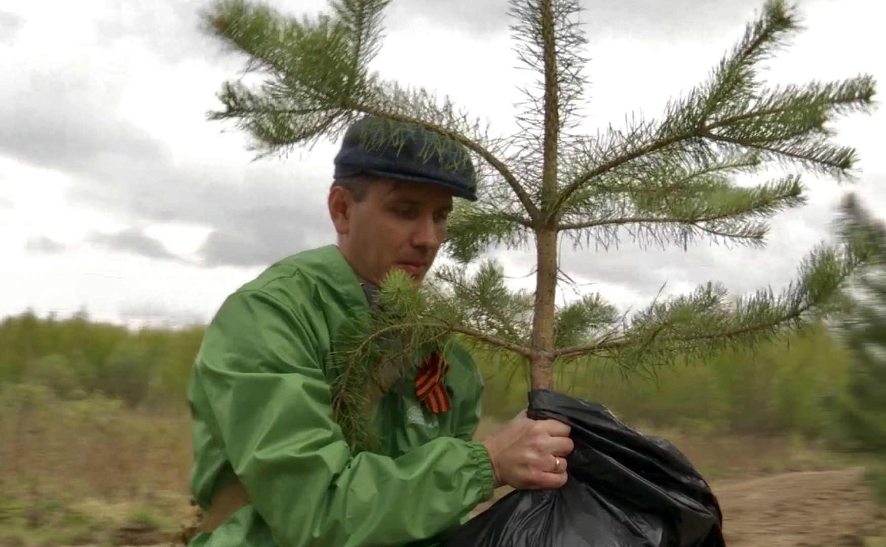 Клин, благоустройство, перемены, лес победы