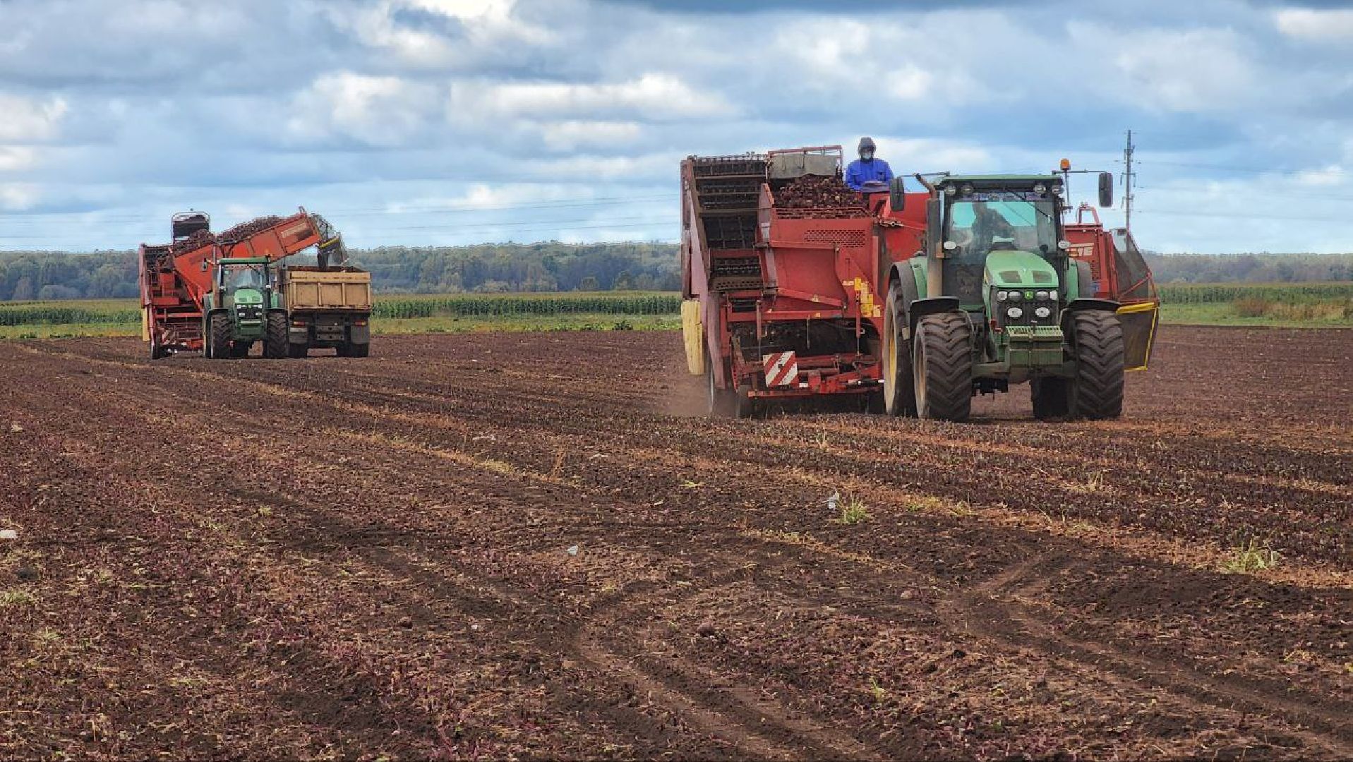 Дмитров, ЗАО Куликово, Уборочная кампания, Минсельхоз,