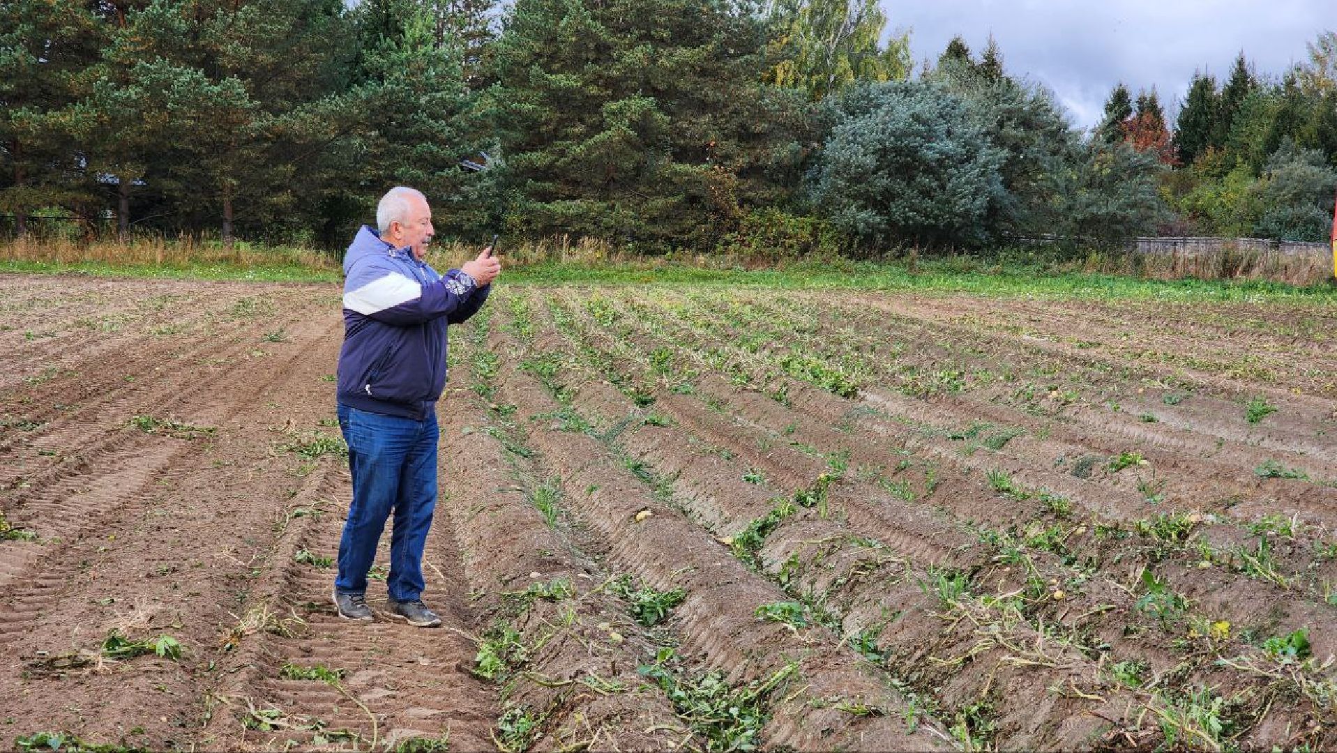Дмитров, ЗАО Куликово, Уборочная кампания, Минсельхоз,