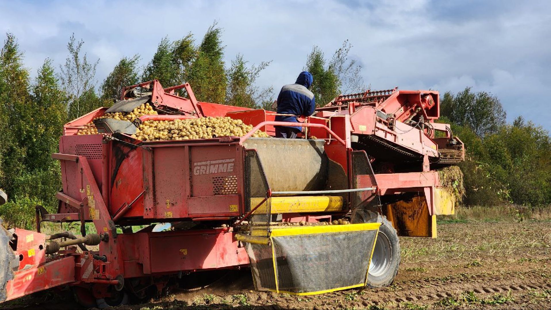Дмитров, ЗАО Куликово, Уборочная кампания, Минсельхоз,