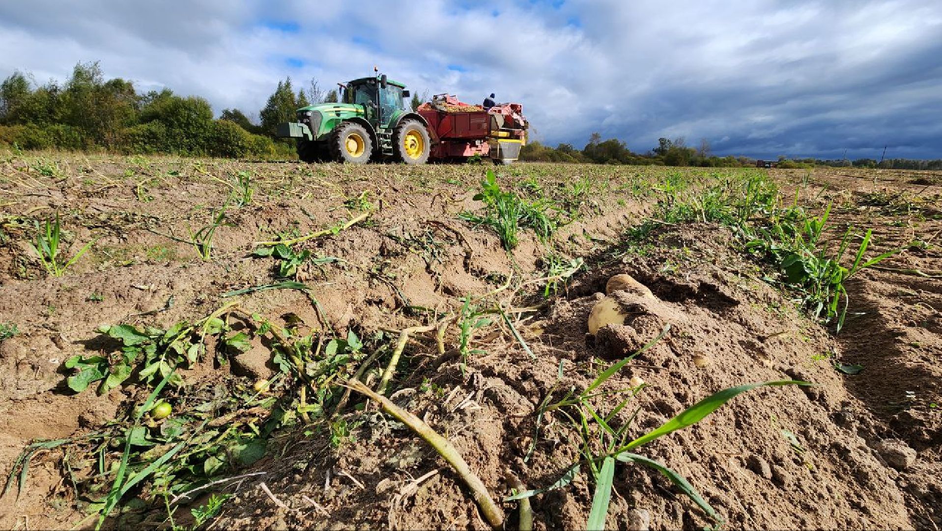 Дмитров, ЗАО Куликово, Уборочная кампания, Минсельхоз,