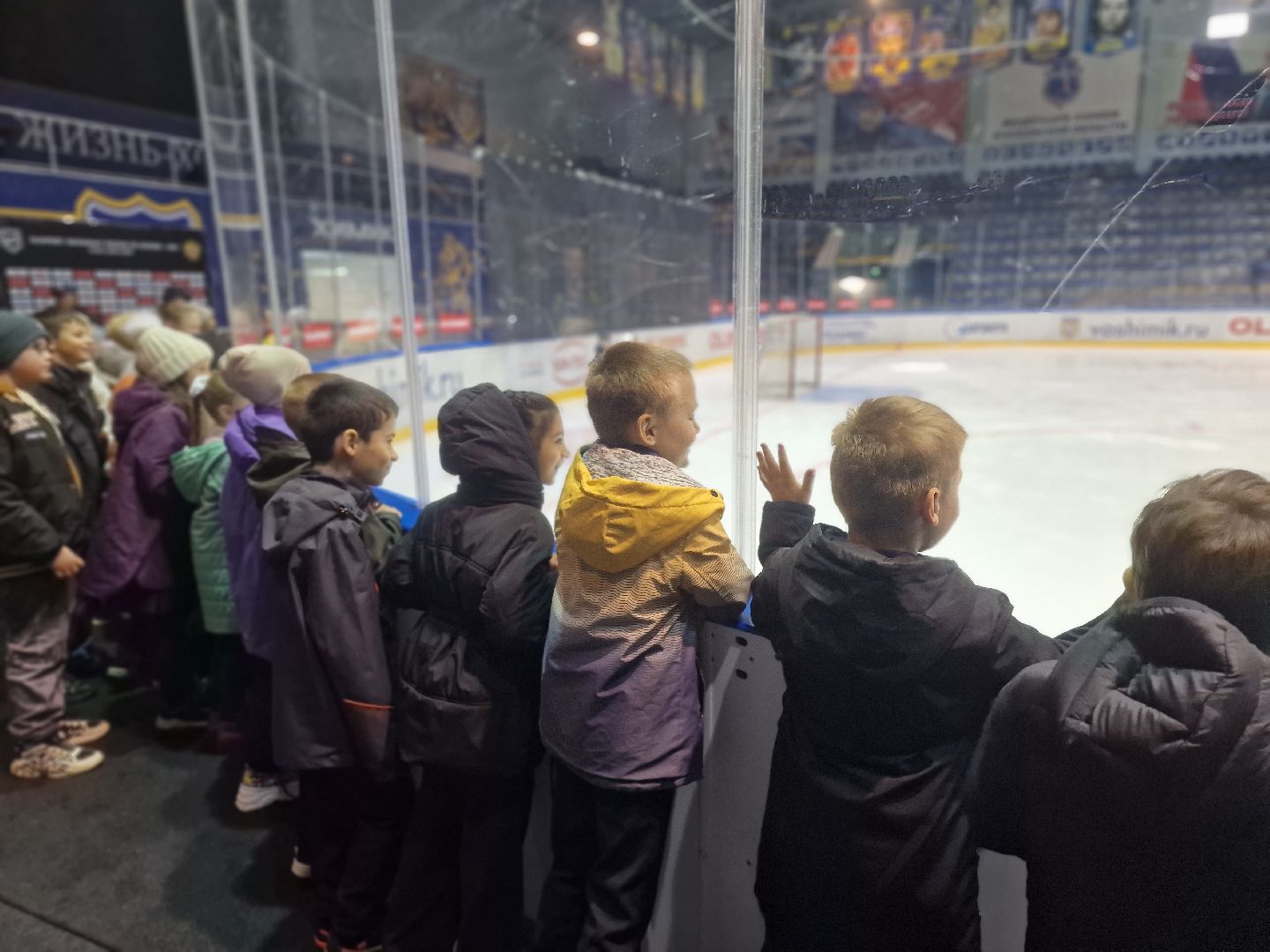 воскресенск, хоккей, олимпийский чемпион,